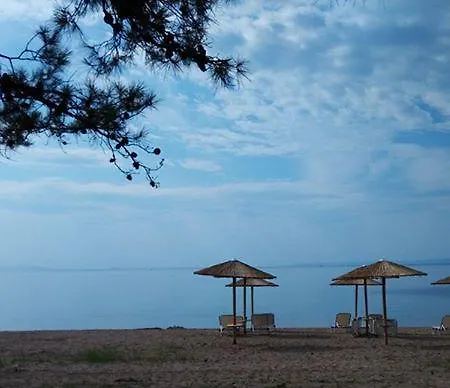 Olea Mare *