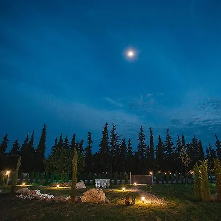 Olea Mare * Kalyves Polygyrou