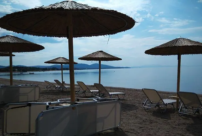 Olea Mare * Kalyves Polygyrou