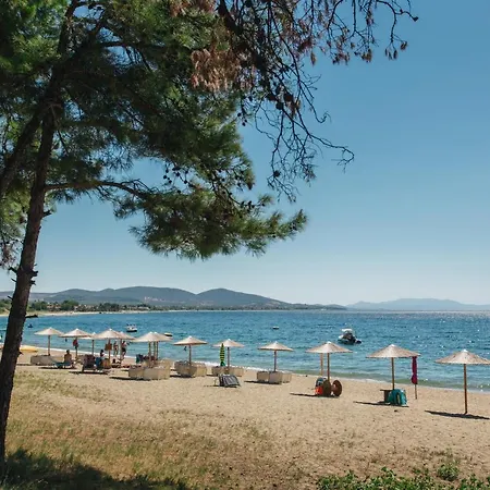 Olea Mare Studios & Apartment