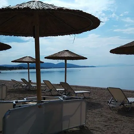 Olea Mare * Kalyves Polygyrou